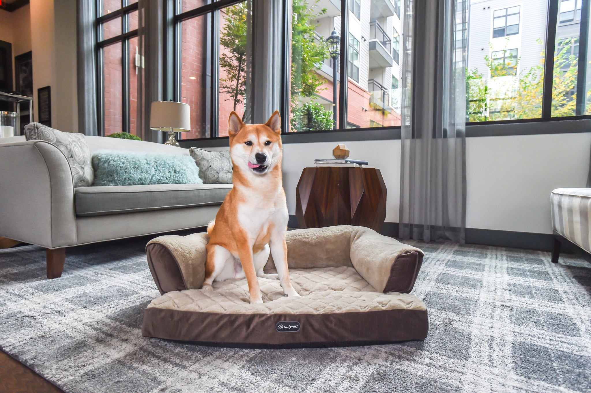 Luxury Bouclé Sofa Topper, Dog Beds